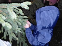 Kar�csonyfa feld�sz�t�s 2025