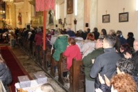 �j�vi koncert 2024