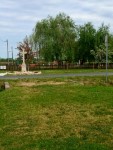 Tavaszi vir�gos�t�s