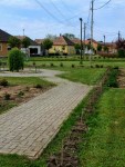Tavaszi vir�gos�t�s