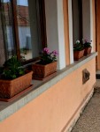 Tavaszi vir�gos�t�s