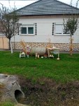 Sz�reti d�sz�t�s 2025.