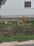 Sz�reti d�sz�t�s 2026.