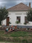 Sz�reti d�sz�t�s 2026.