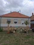 Sz�reti d�sz�t�s 2026.