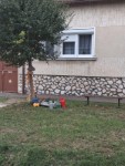 Sz�reti d�sz�t�s 2026.