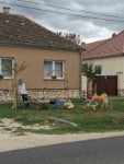 Sz�reti d�sz�t�s 2026.
